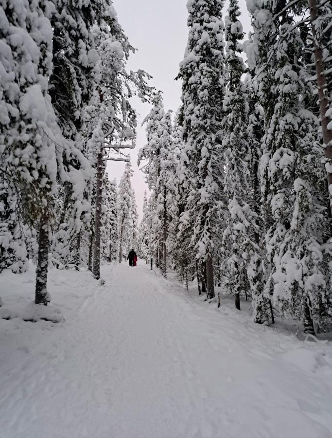 Apartment Naavis Rovaniemi Ngoại thất bức ảnh
