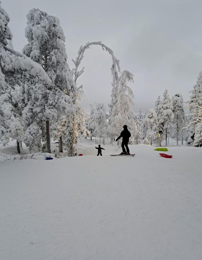 Apartment Naavis Rovaniemi Ngoại thất bức ảnh